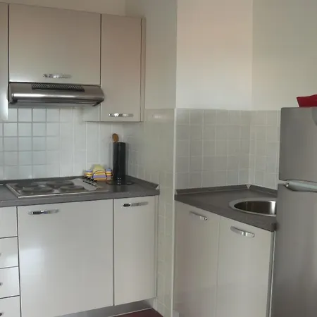 Branimir אומיסאליי